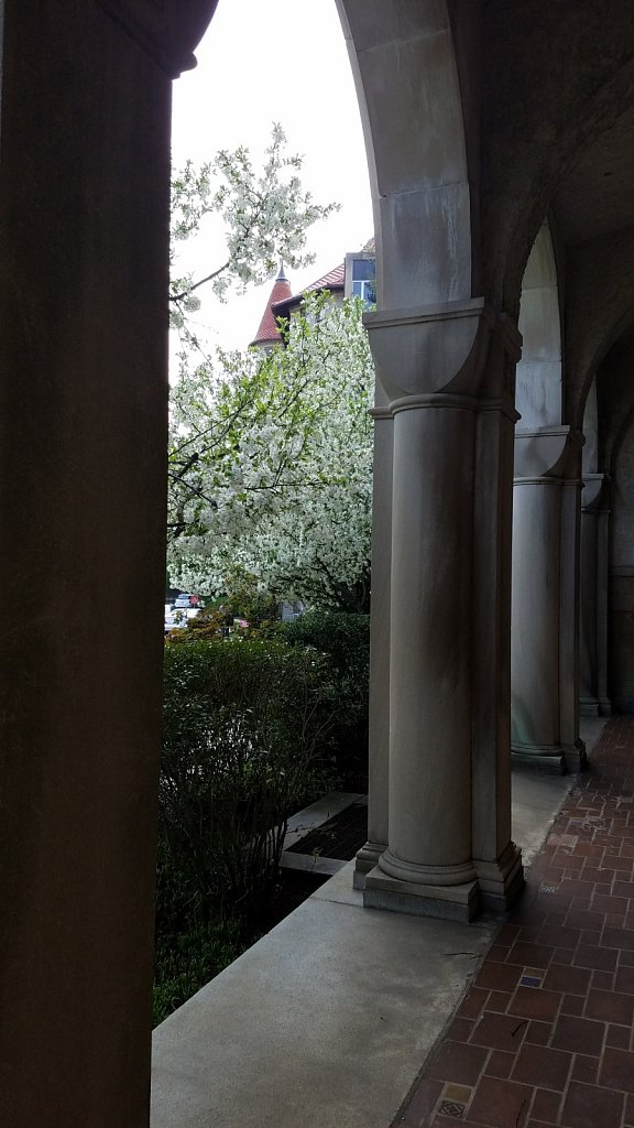 St. Joseph's Hall Through the Fournier Arches  