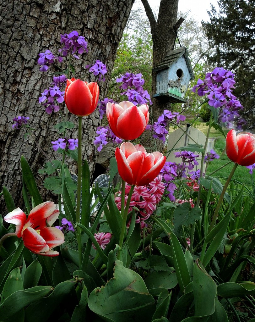 DSCN1575.JPG
