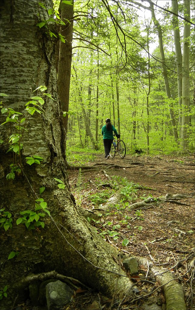 Allamuchy Mountain State Park