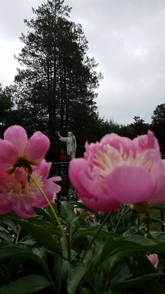 Flowers and Jesus 