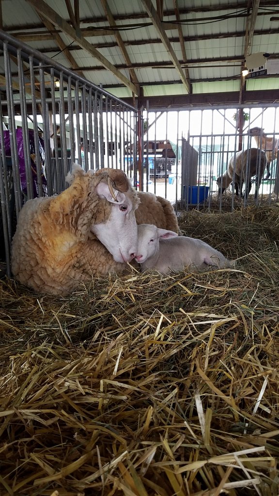 Parent and Baby 