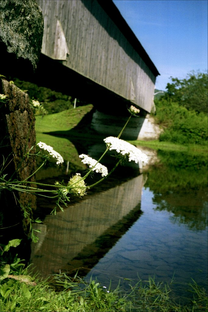 Argus Day Under the Bridge