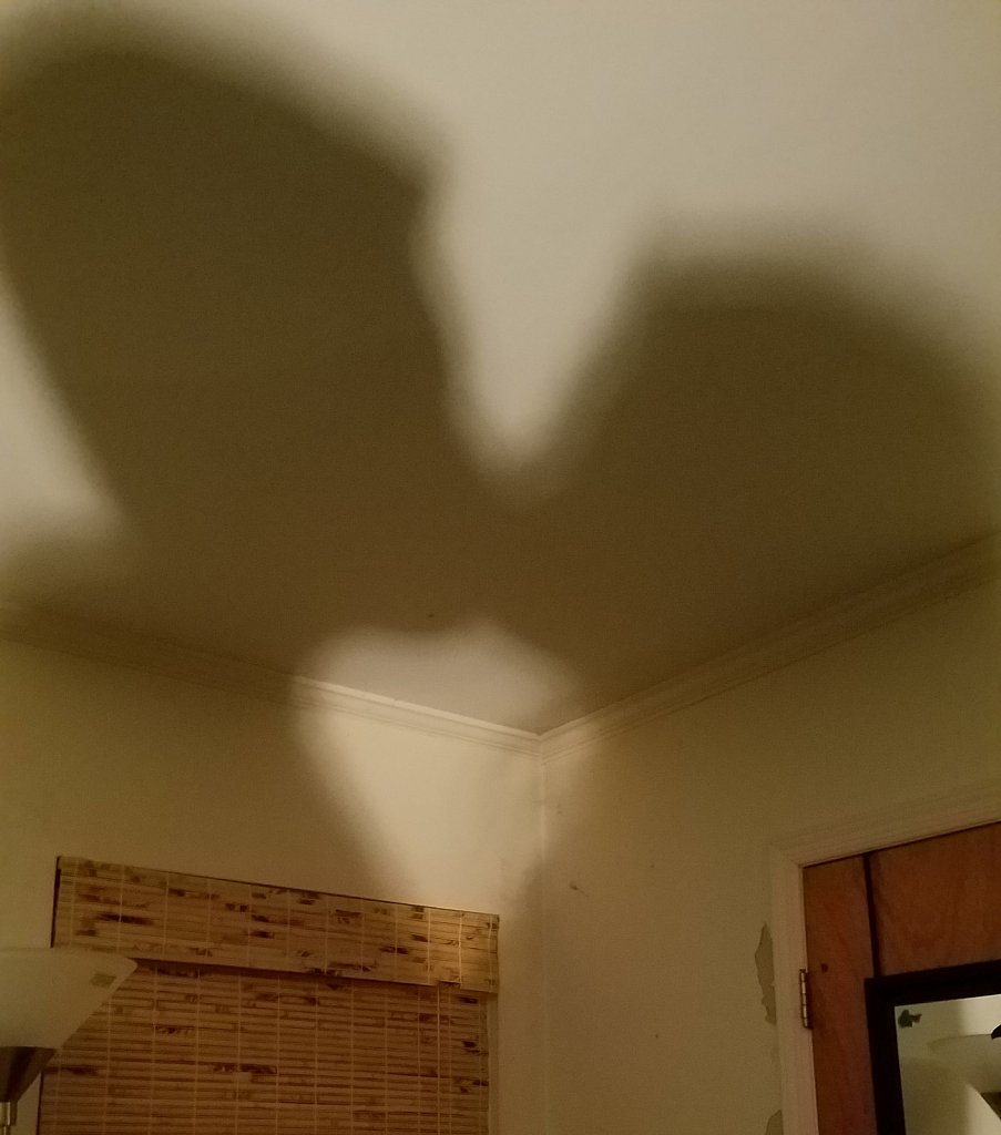 Kiss Silhouette 