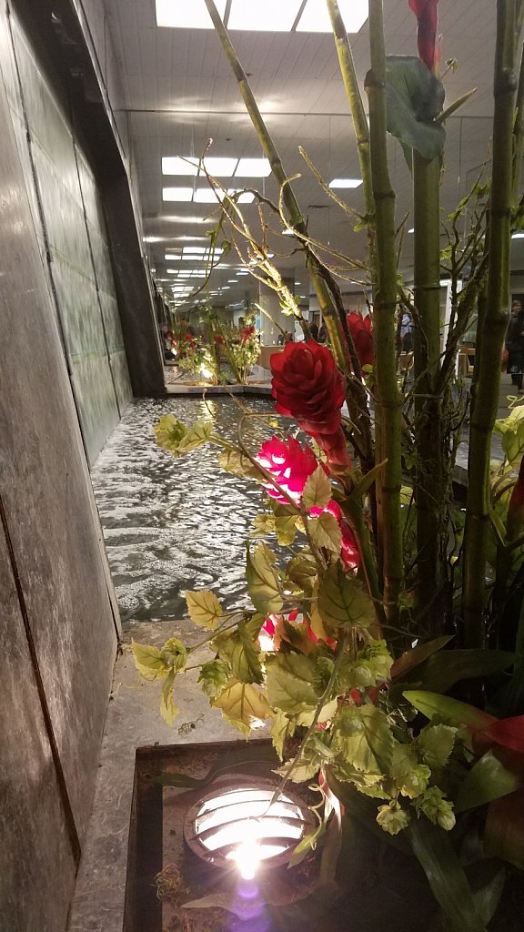 20171117-143813.jpg