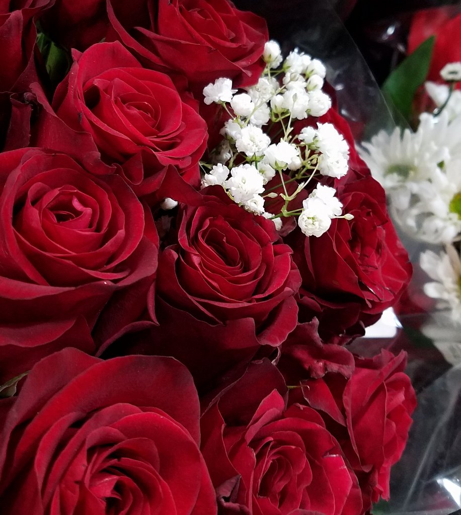 Flowers in Winter 