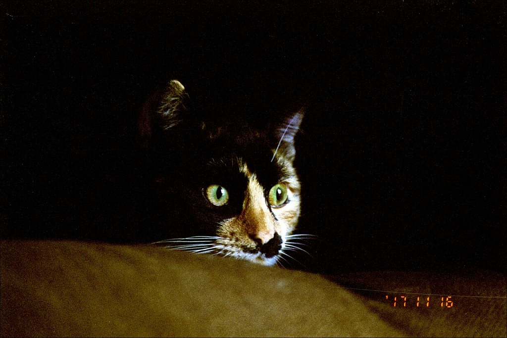 2018008F-Minolta-450si-Fuji-Pro-400-19.jpg