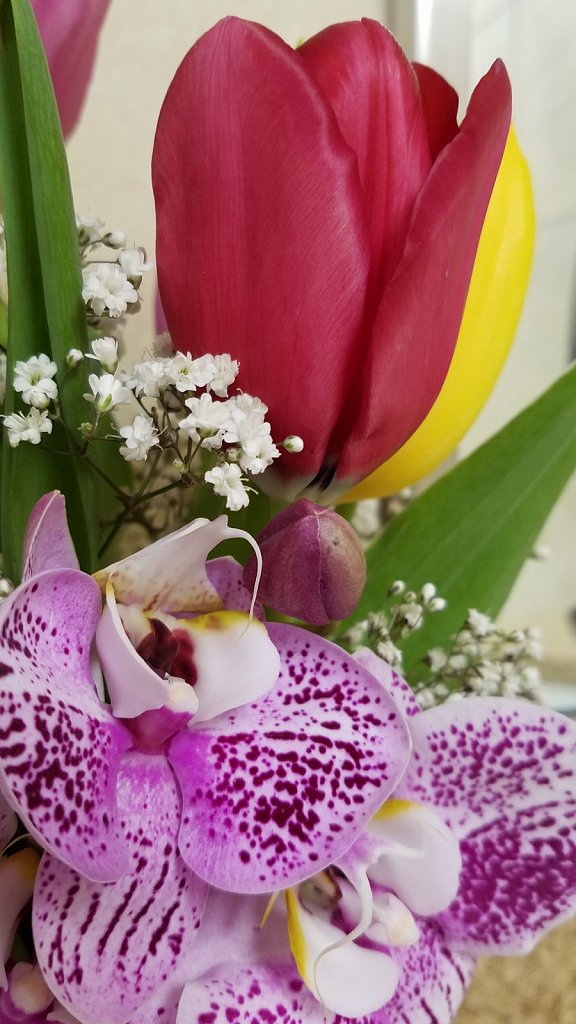 Wishing for Spring 