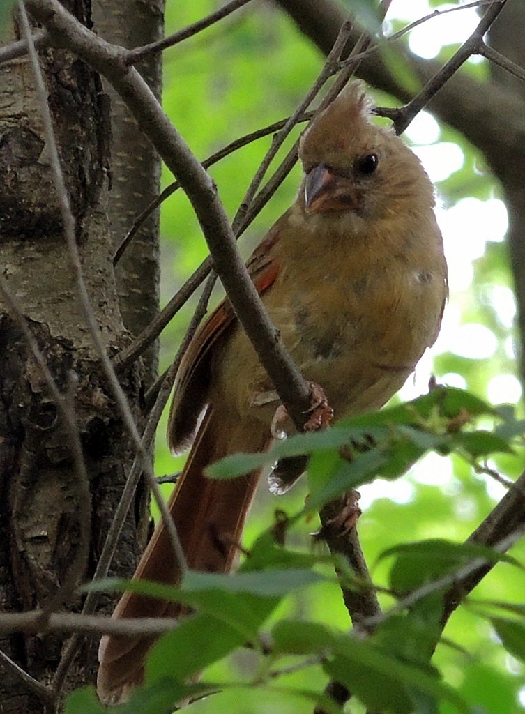 DSCN8088.JPG