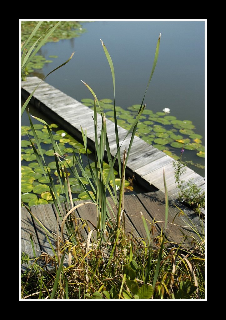 South Branch of Raritan River