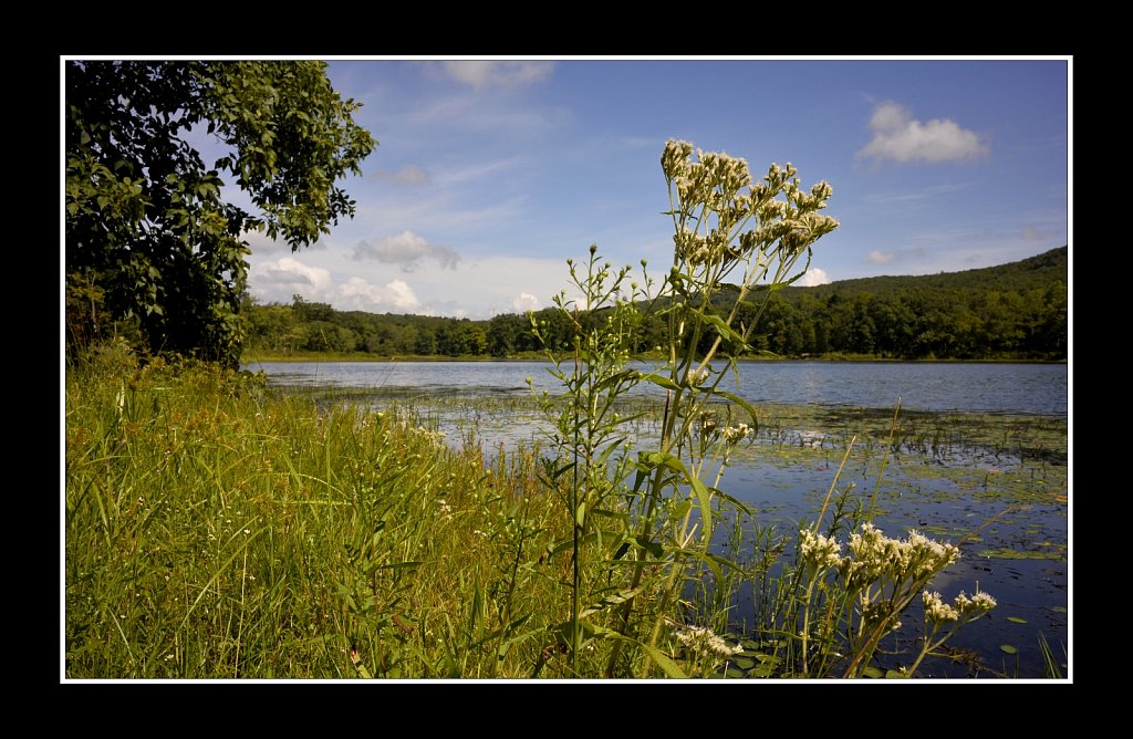 Sawmill Lake