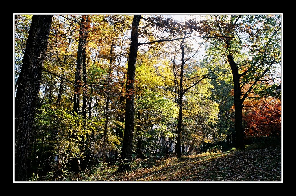 2018260F-Roll1-917-01-35A.jpg