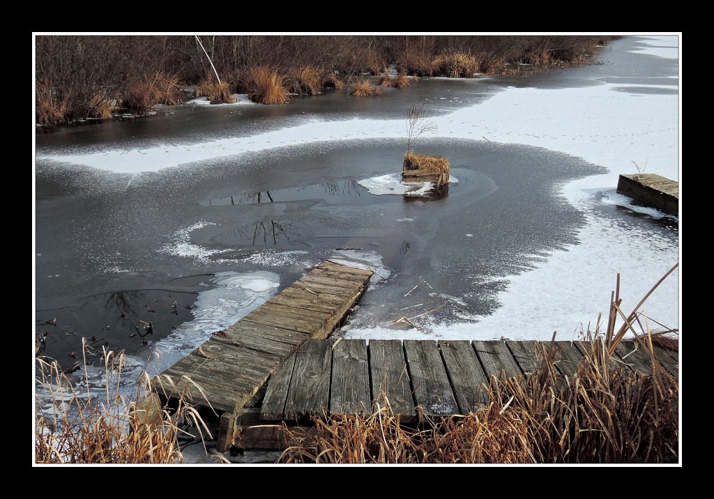 South Branch Raritan River