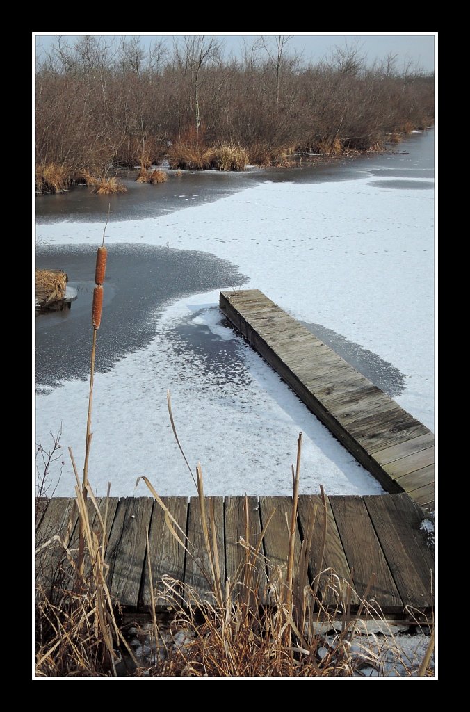 South Branch Raritan River