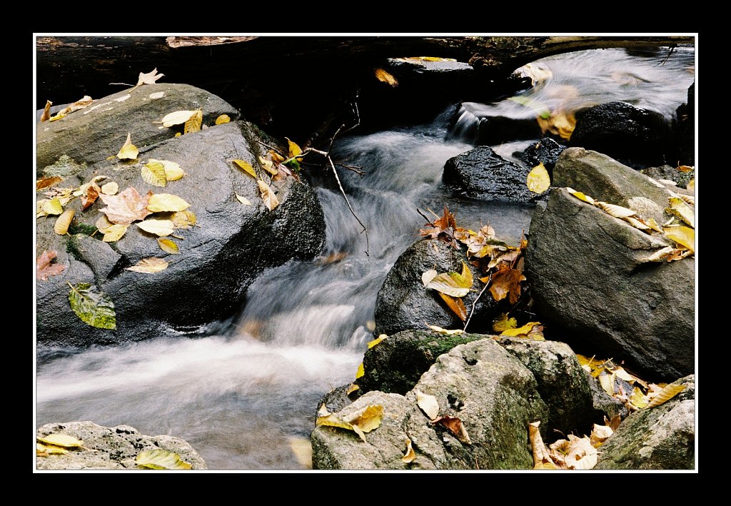 Schooley's Mountain Park