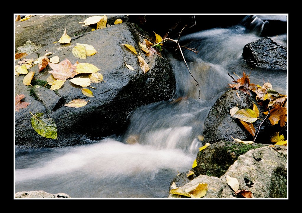 Schooley's Mountain Park
