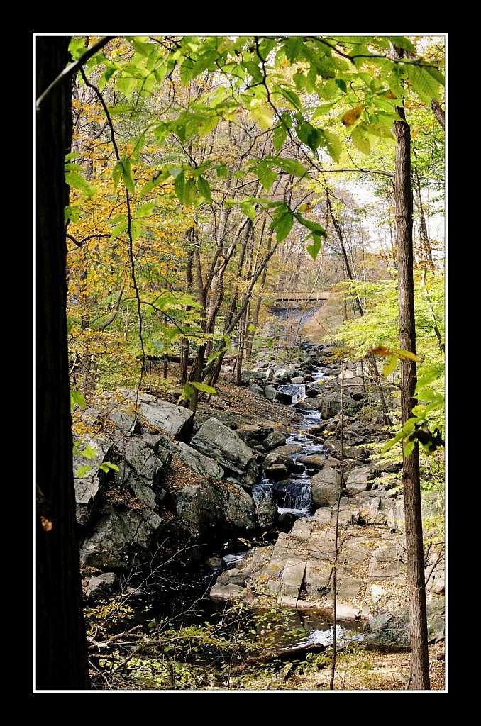 Schooley's Mountain Park