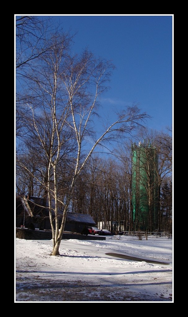 Tower & Snow