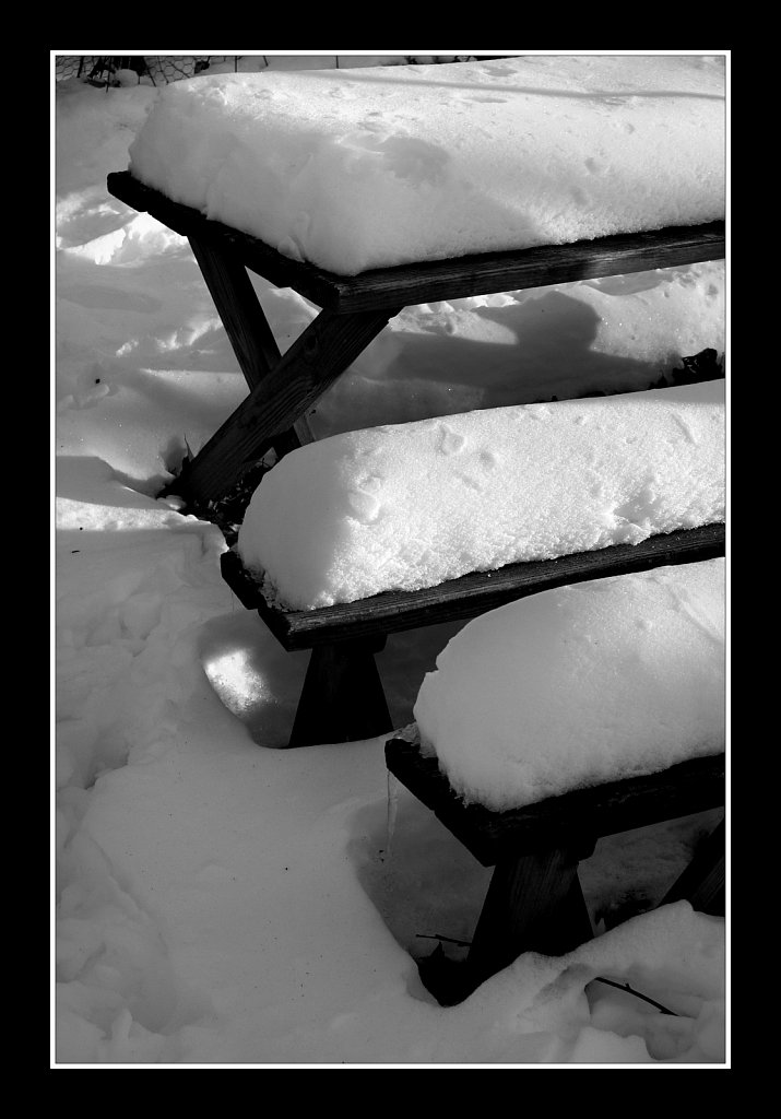 Snow Time For A Picnic