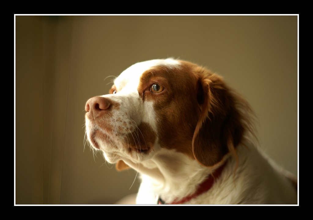 Window Lit Copper