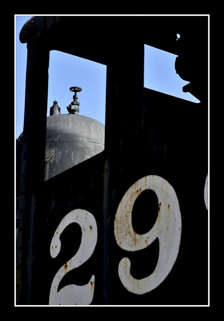 Loco 299