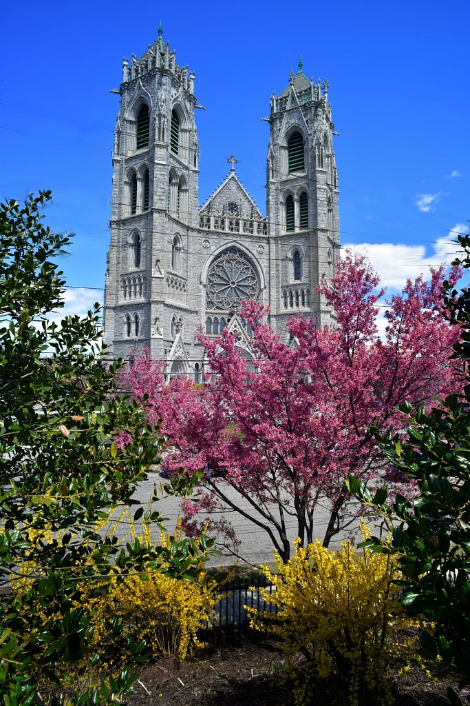 Sacred Heart Basilica