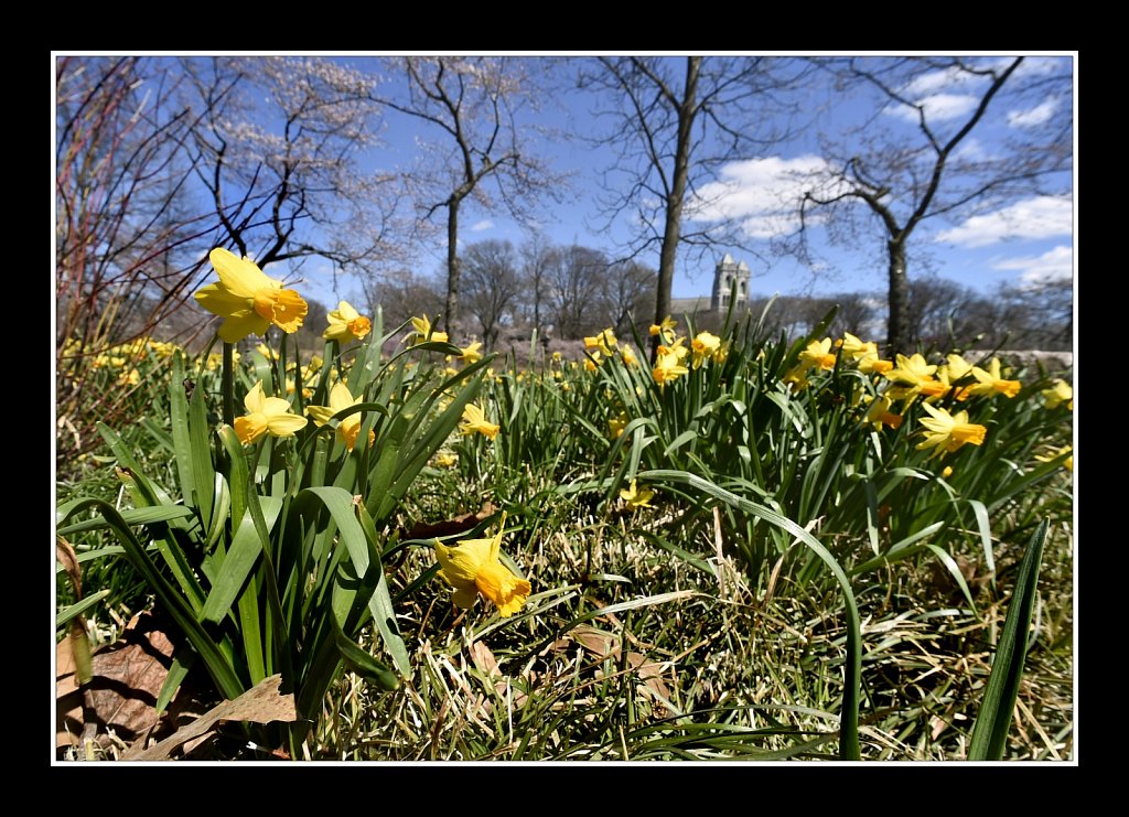 Branch Brook Park