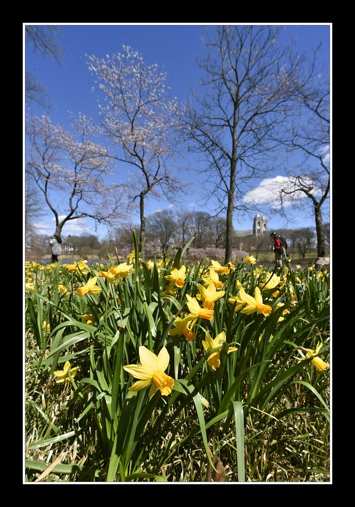 Branch Brook Park