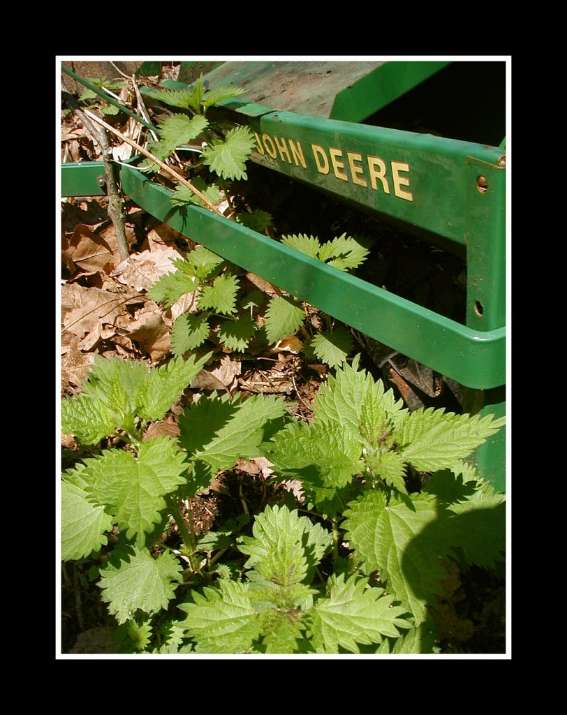 John Deere Green