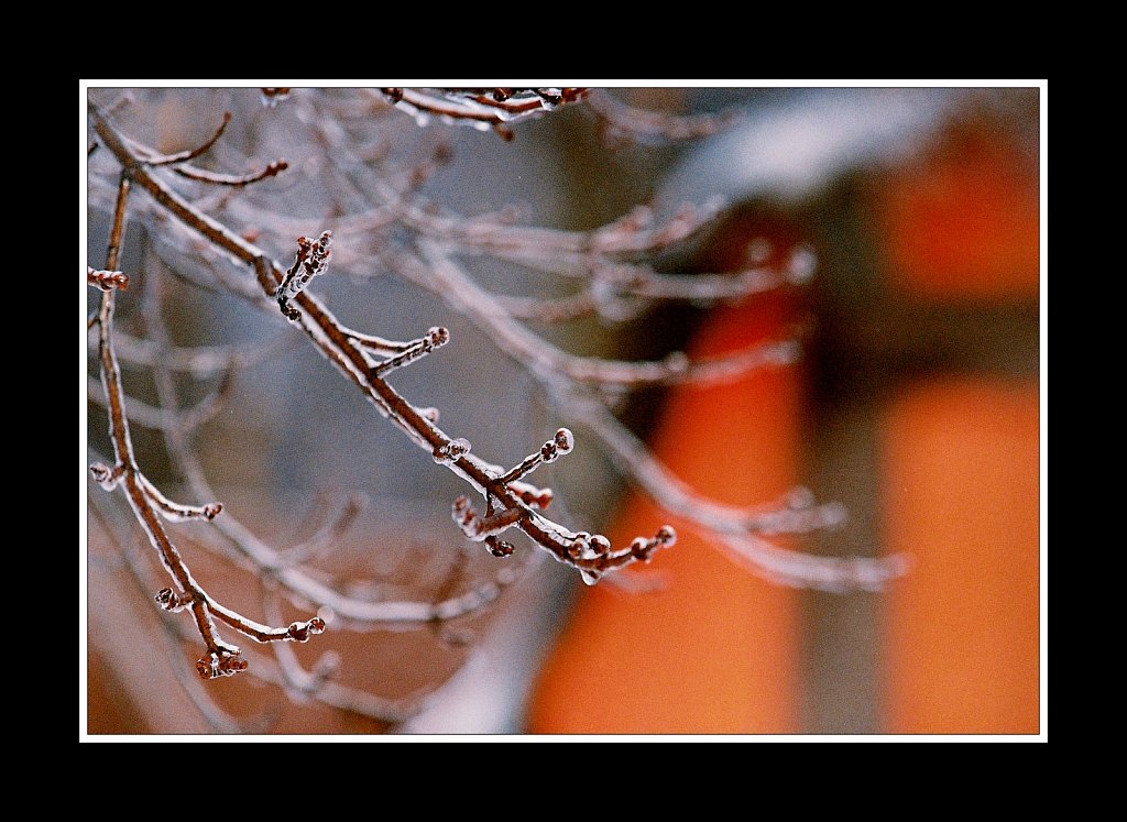 Ice Storm