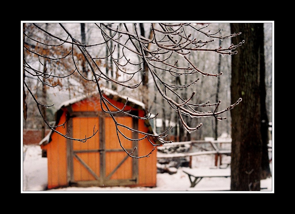 Ice Storm