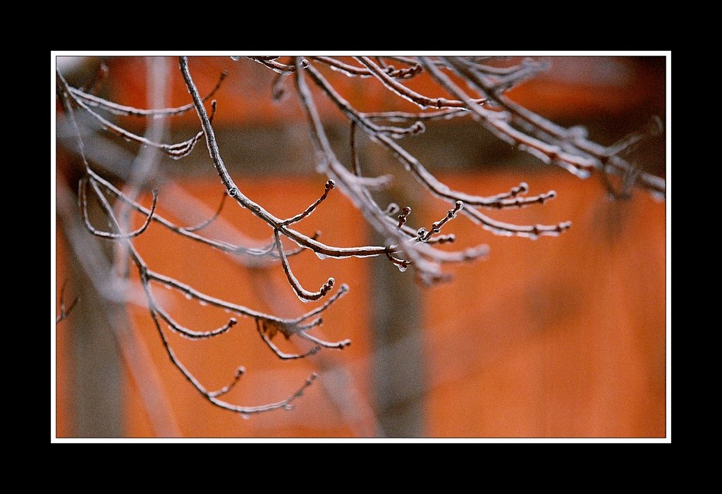 Ice Storm