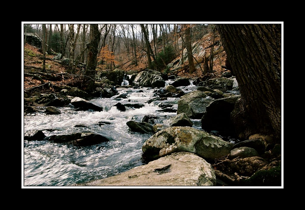 Hedden County Park