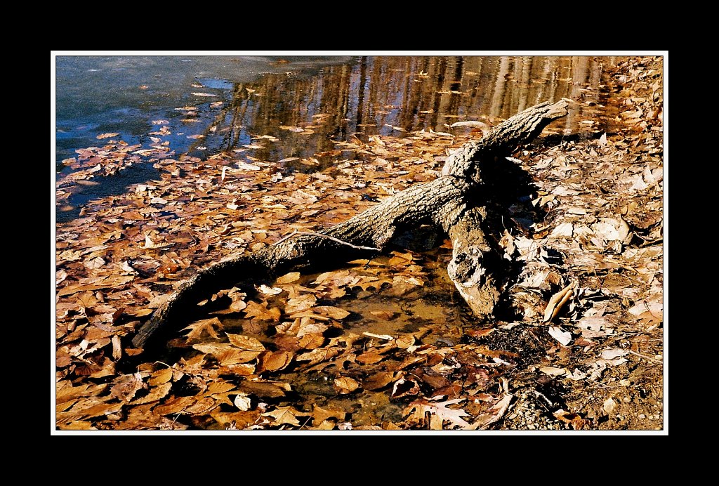 Lake George