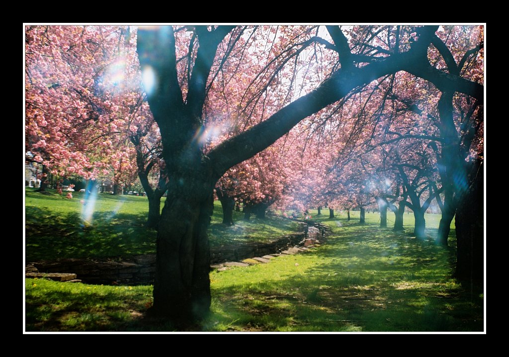 Hurd Park