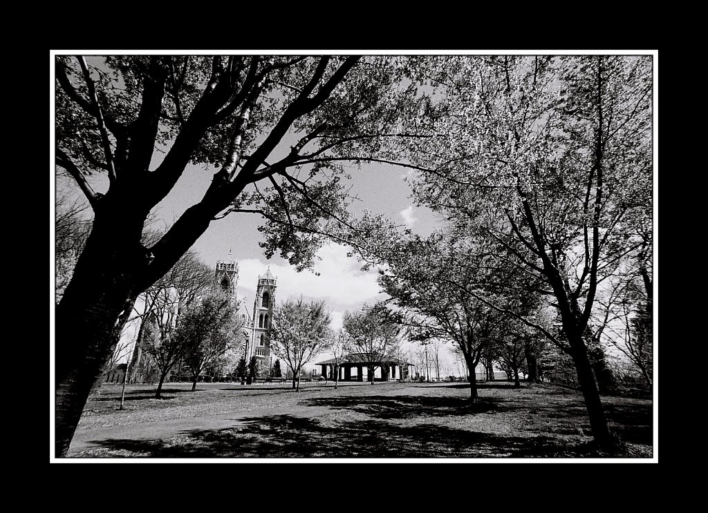 Branch Brook Park