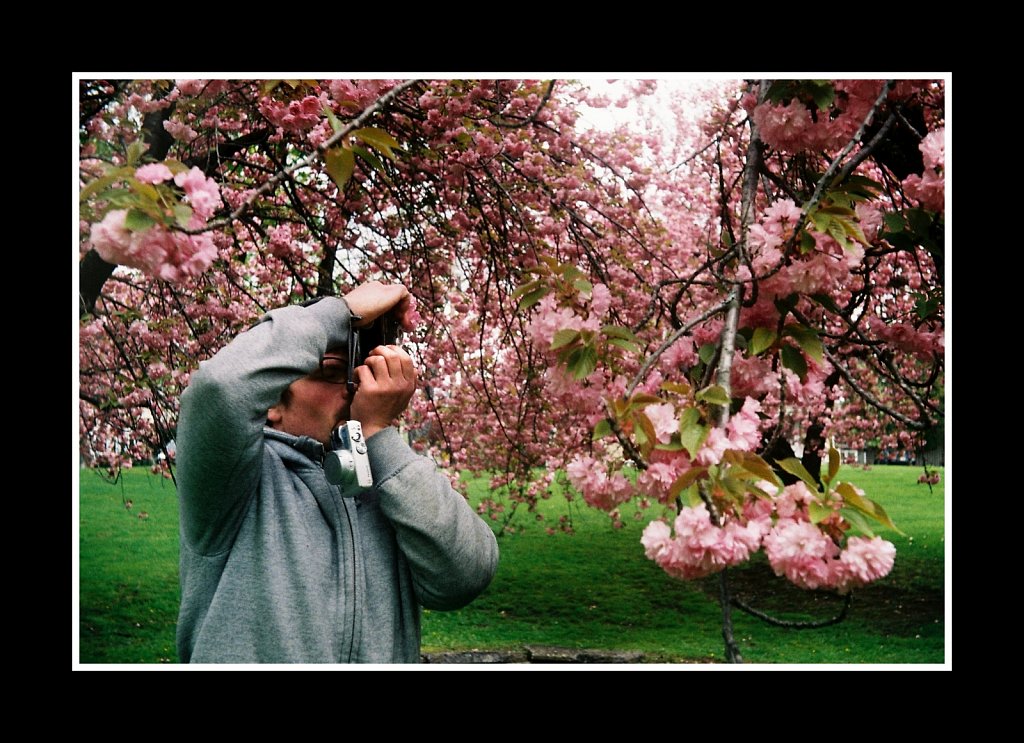 Blossoms at Hurd Park