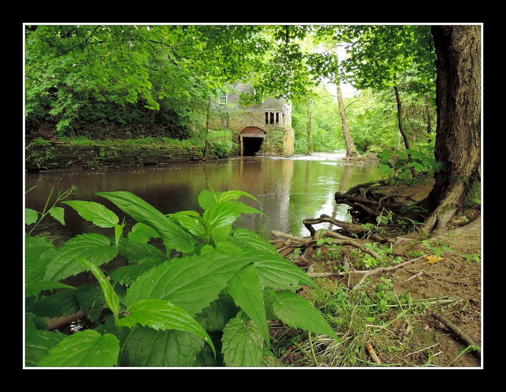 Mill Pond Park Columbia Trail