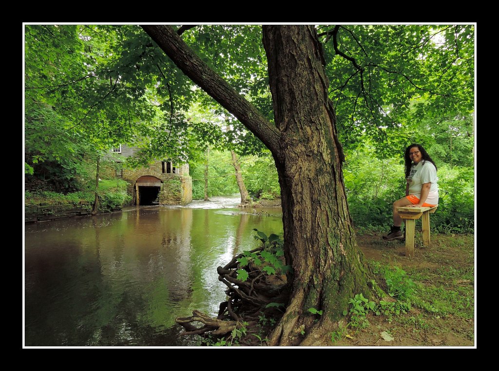 Mill Pond Park Columbia Trail