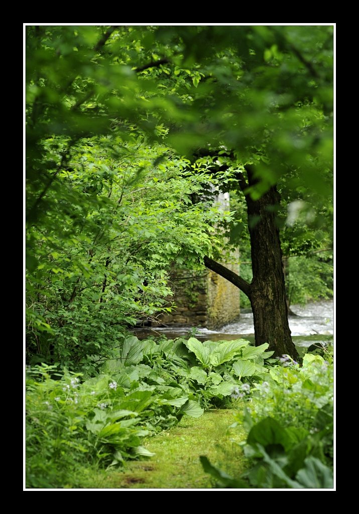 Mill Pond Park Columbia Trail