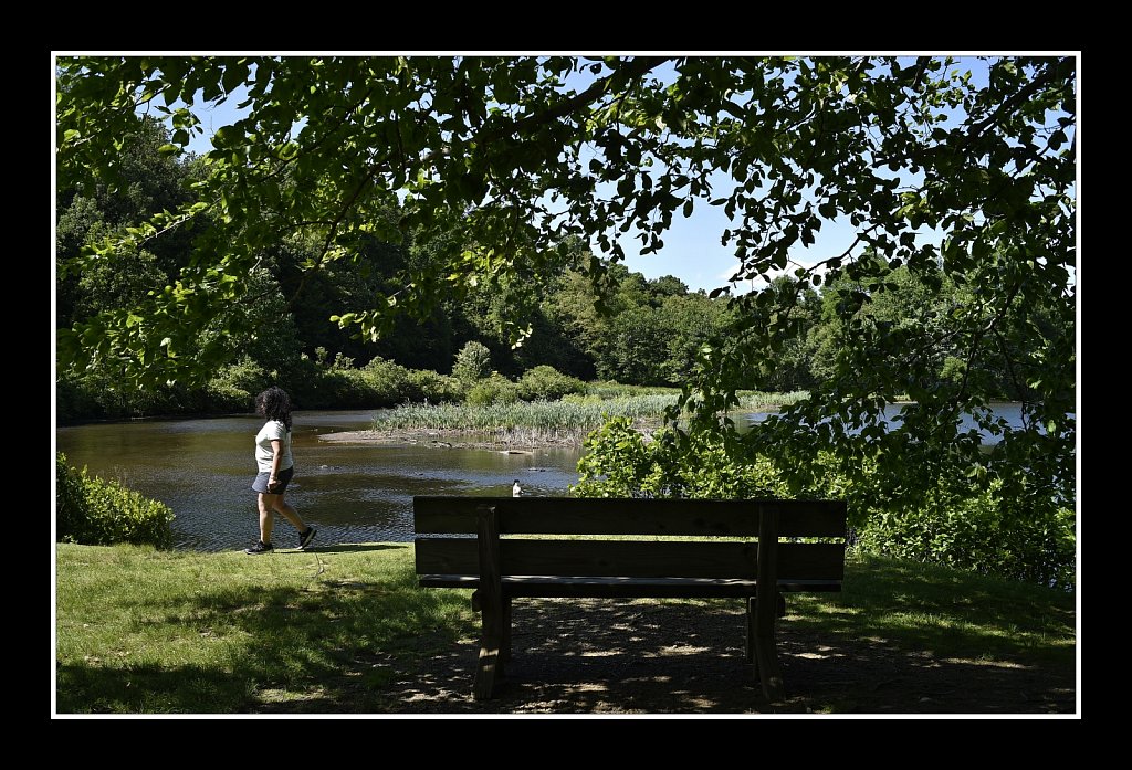 Views at Heddon County Park