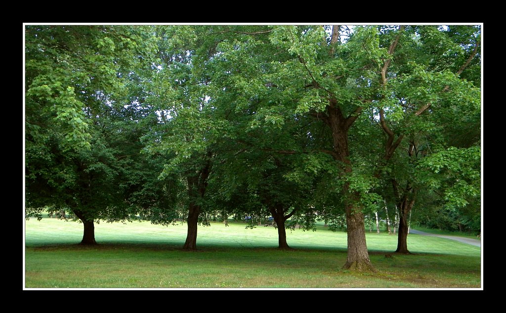 Schooley's Mountain Park