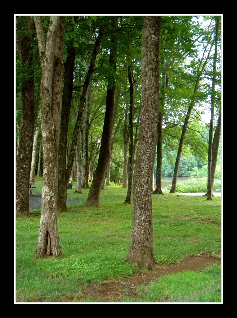 Schooley's Mountain Park