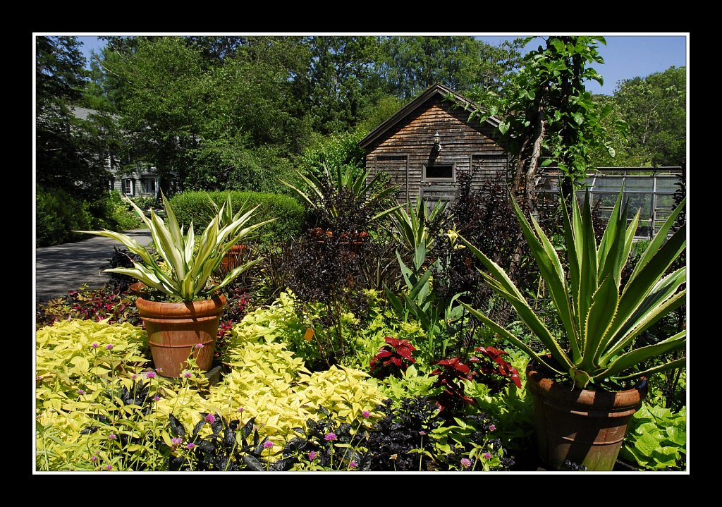 Propagation House