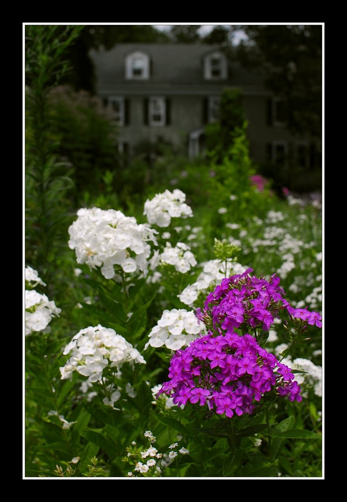 Willowwood Arboretum