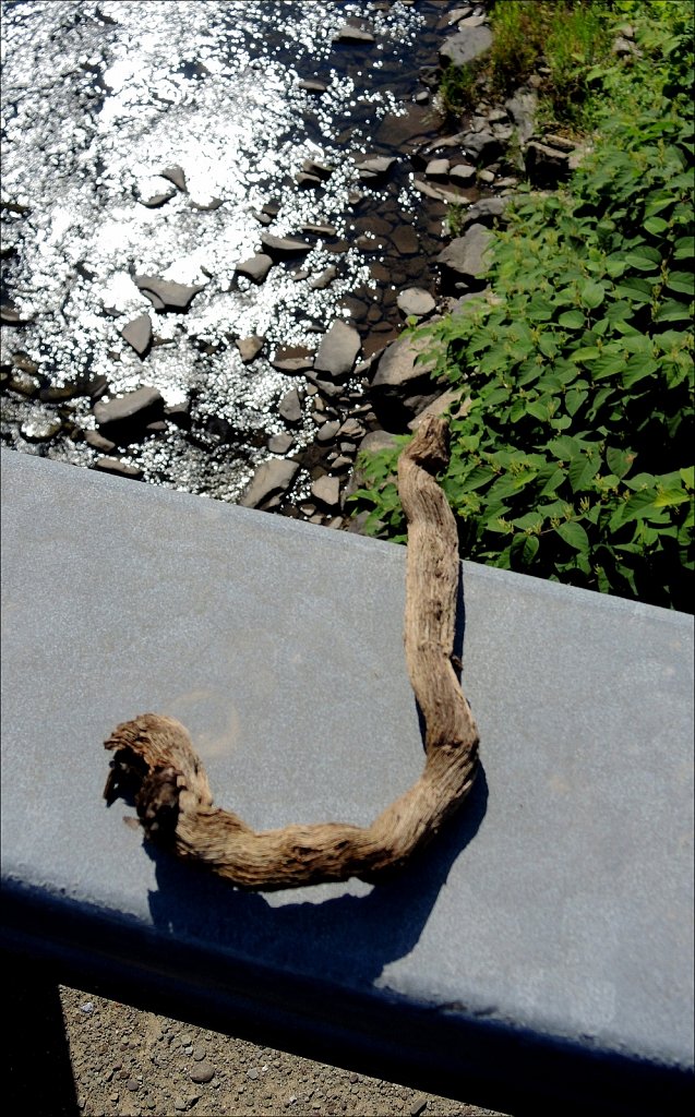 Jeanne's Driftwood J