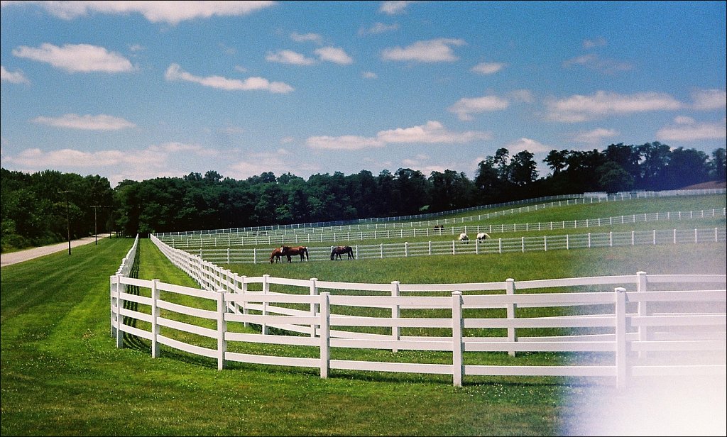 Horse Farm