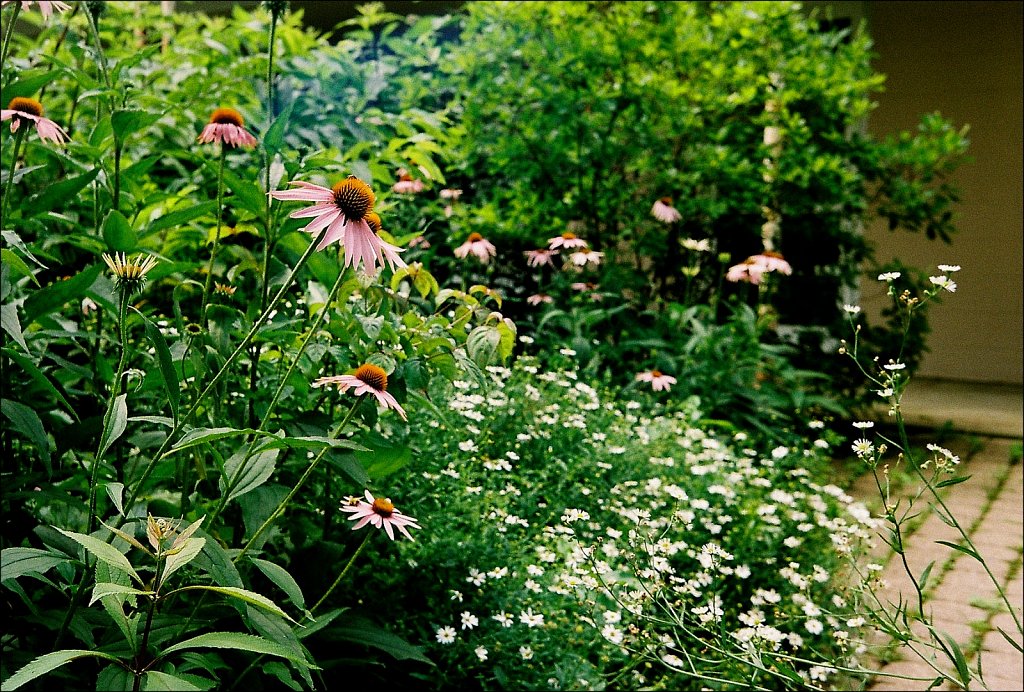 Kay Environmental Center