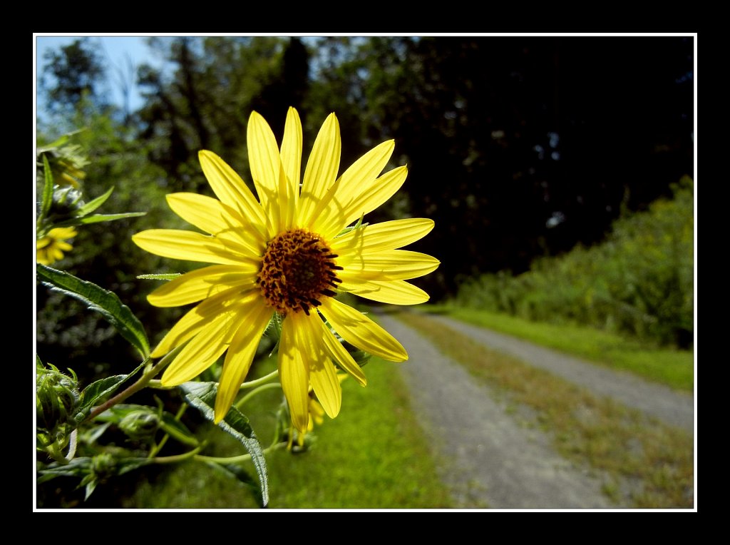 Columbia Trail