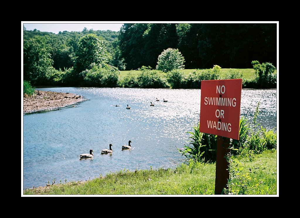 Hedden County Park