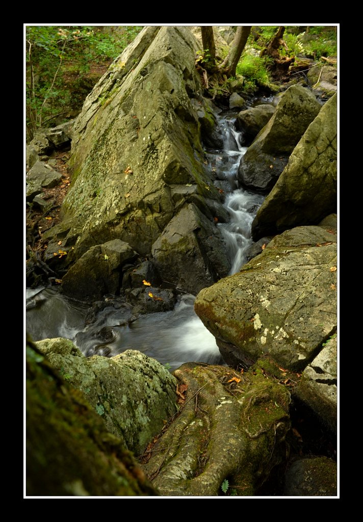 Sussex Branch Trail